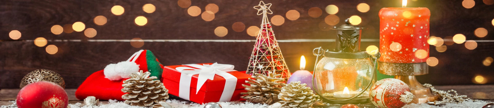 Family Christmas Cards